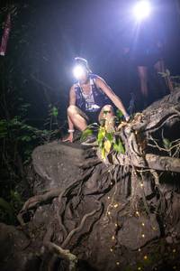 BIB: 
                            <button type="button" onclick="openModal(13605538)" class="btn btn-primary btn-sm float-right btn-popup" data-toggle="modal" data-target=".modal-high-quality">
                        <i class="fas fa-shopping-cart"></i> Add to Cart
                    </button>
                                            <button type="button" onclick="isThisMe(13605538, true)" class="btn btn-success btn-sm float-right btn-popup btn-isme hidden" data-toggle="tooltip" data-placement="bottom" title="นี่คือรูปของคุณใช่ไหม คลิกที่นี่เพื่อเอาเข้าอัลบั้ม">
                        <i class="fas fa-plus"></i> Add to album
                    </button>
                    <button type="button" onclick="isThisMe(13605538, false)" class="btn btn-warning btn-sm float-right btn-popup btn-isnotme hidden">
                        <i class="fas fa-ban"></i> Remove from album
                    </button>